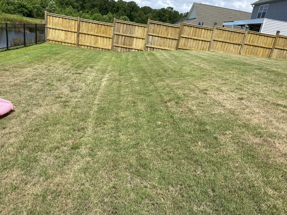 Expert yard cleanup service in Burgaw, NC by A&M landscape Services
