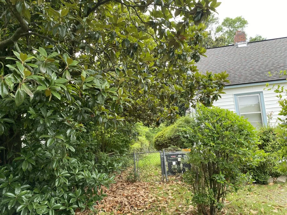 Expert landscape design experts serving Burgaw, NC - A&M landscape Services