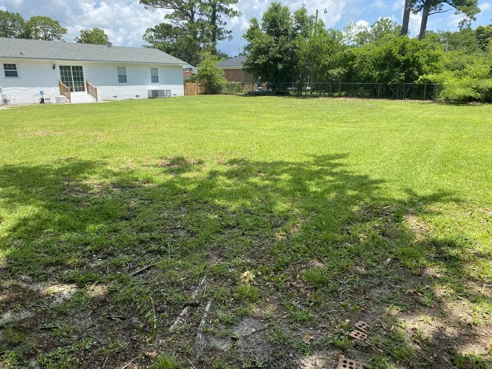 Trusted yard maintenance near you in Burgaw, NC by A&M landscape Services