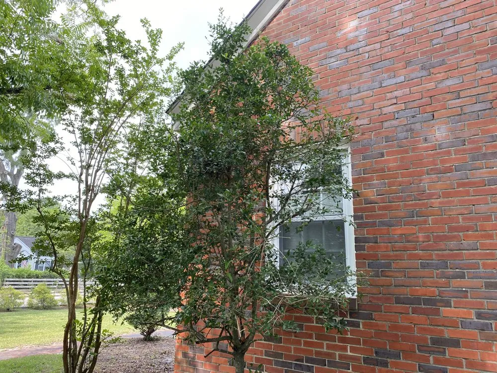 Local landscaping services in Burgaw, NC - A&M landscape Services