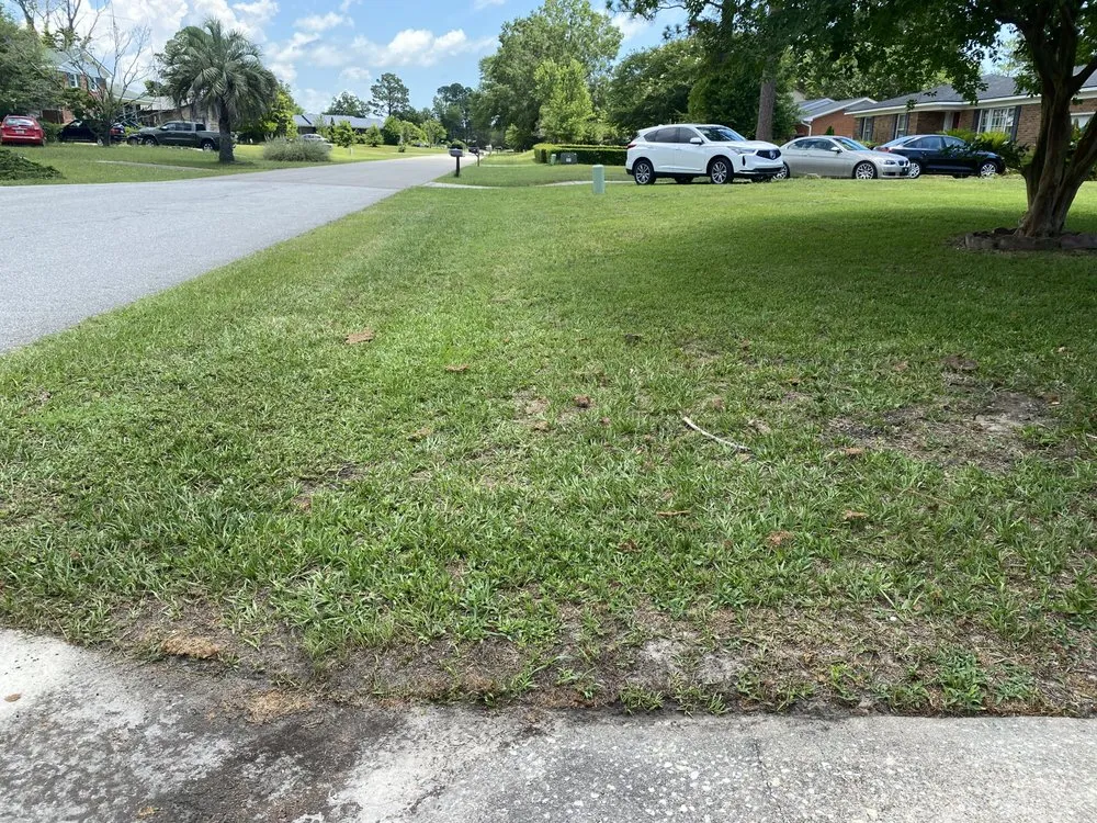 Professional outdoor landscaping for homes across Burgaw, NC - A&M landscape Services