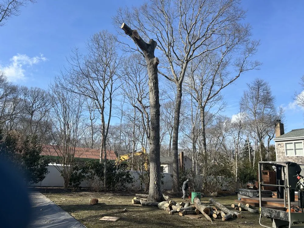 Top-rated landscape installation for beautiful yards in East Hampton, NY by AM Landscape Services