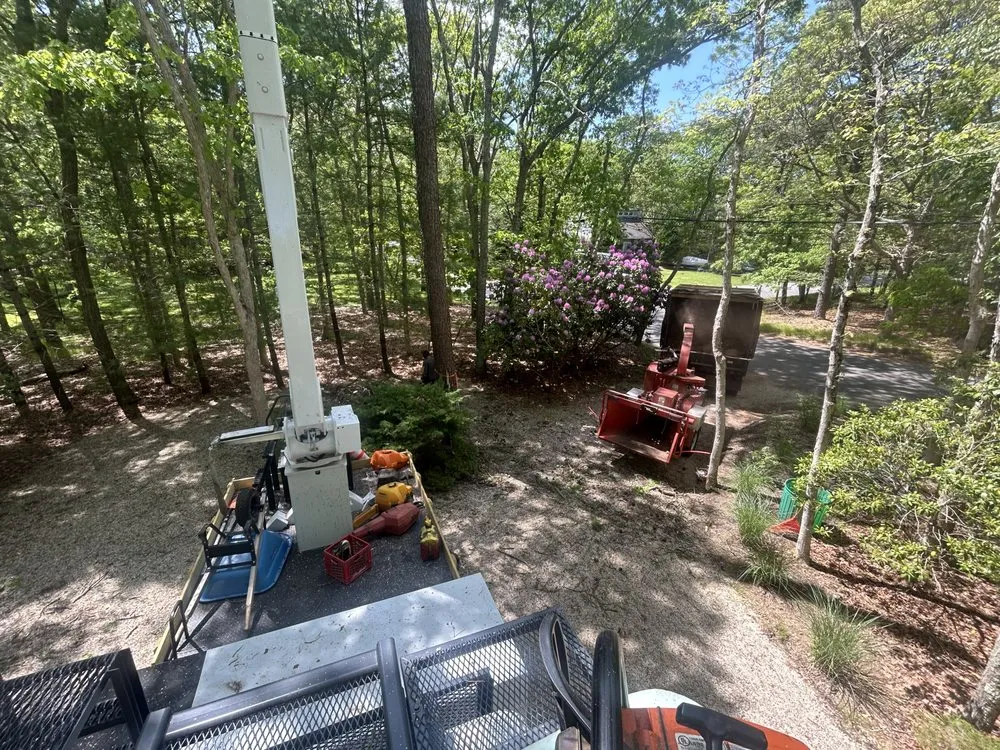 Affordable garden landscaping for year-round maintenance across East Hampton, NY - AM Landscape Services