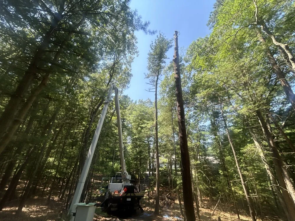 Professional landscape installation for outdoor upgrades in East Hampton, NY by AM Landscape Services