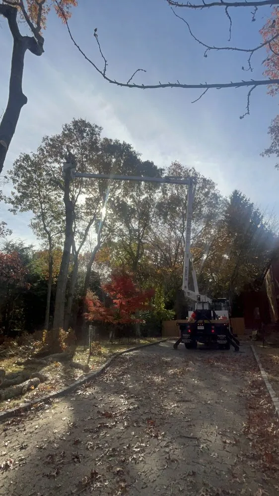 Top-rated landscape installation in East Hampton, NY - AM Landscape Services