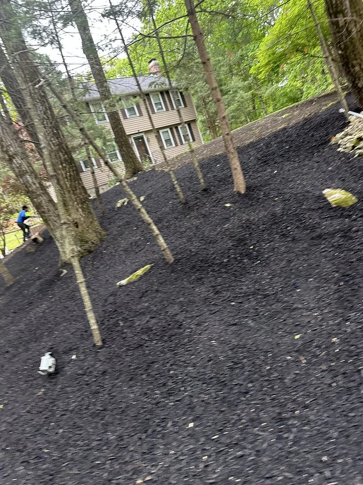 Trusted yard cleanup service in Lynn, MA by Am Landscaping & Construcction