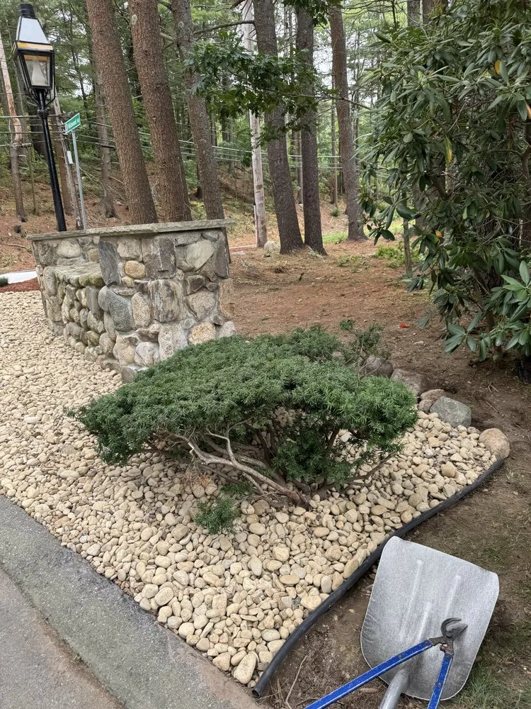 Reliable yard cleanup service in Lynn, MA by Am Landscaping & Construcction