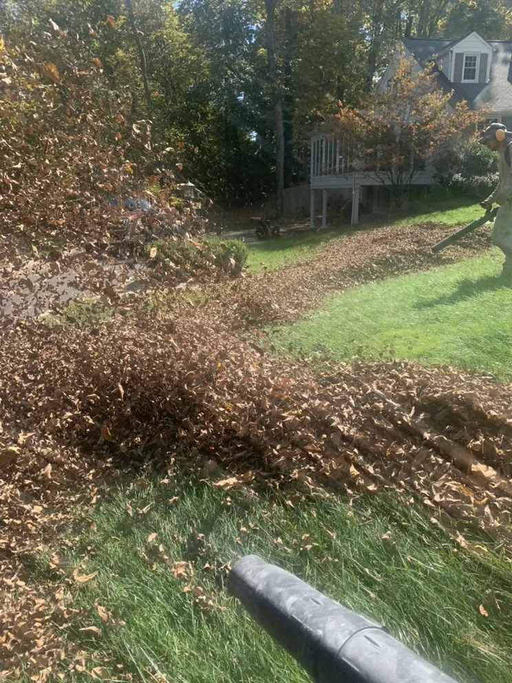 Custom lawn mowing service in South Plainfield, NJ - Am Landscaping & Construction