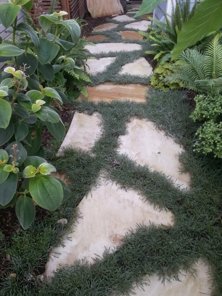 Trusted outdoor landscaping experts serving Hayward, CA - AM Landscaping & Gardening Services