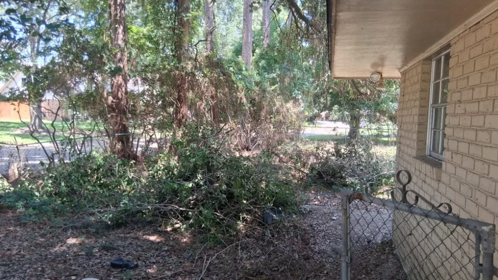 Expert lawn care service for year-round maintenance in Prairieville, LA by A&M Landscaping & Pressure Washing