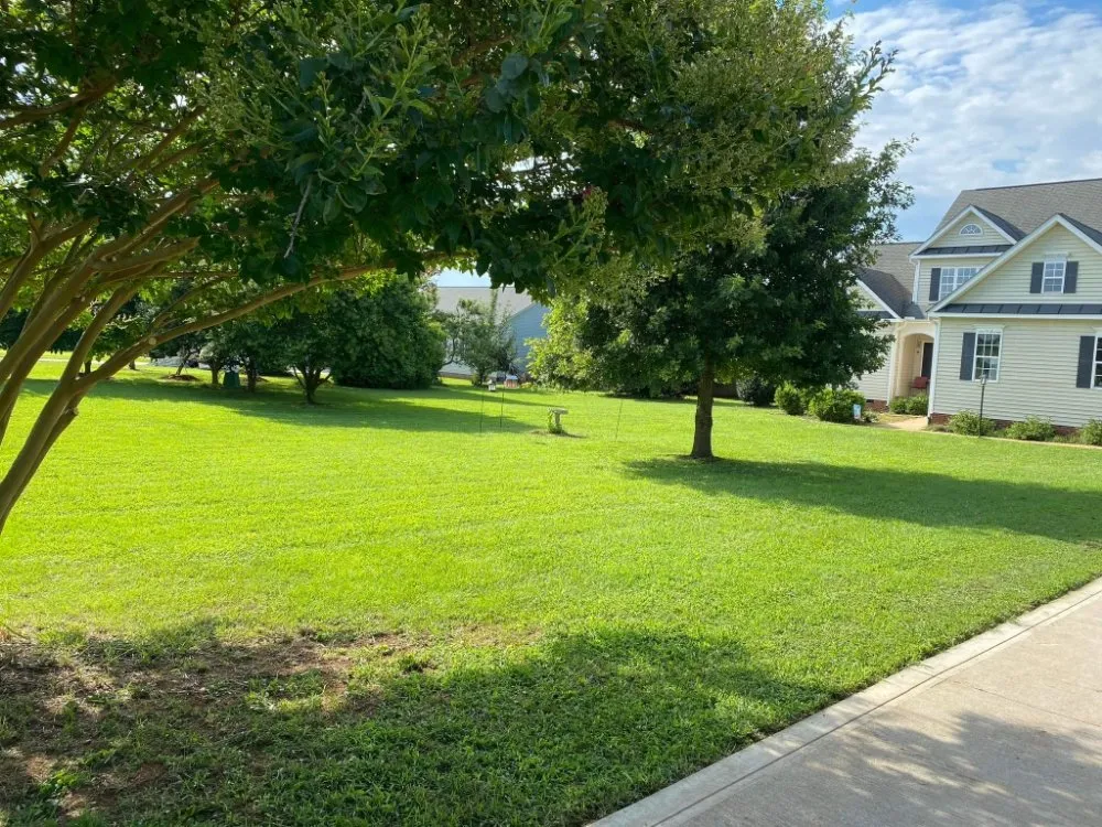 Local landscaping services for beautiful yards across Siler City, NC - A&M Landscaping and Remodeling