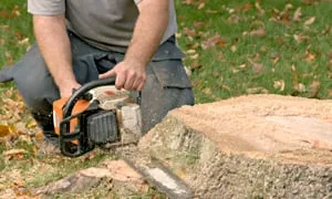 Local landscape design for outdoor upgrades across Bloomfield, CT - AM Landscaping and Tree Services