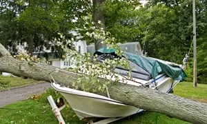 Affordable yard cleanup service in Bloomfield, CT by AM Landscaping and Tree Services