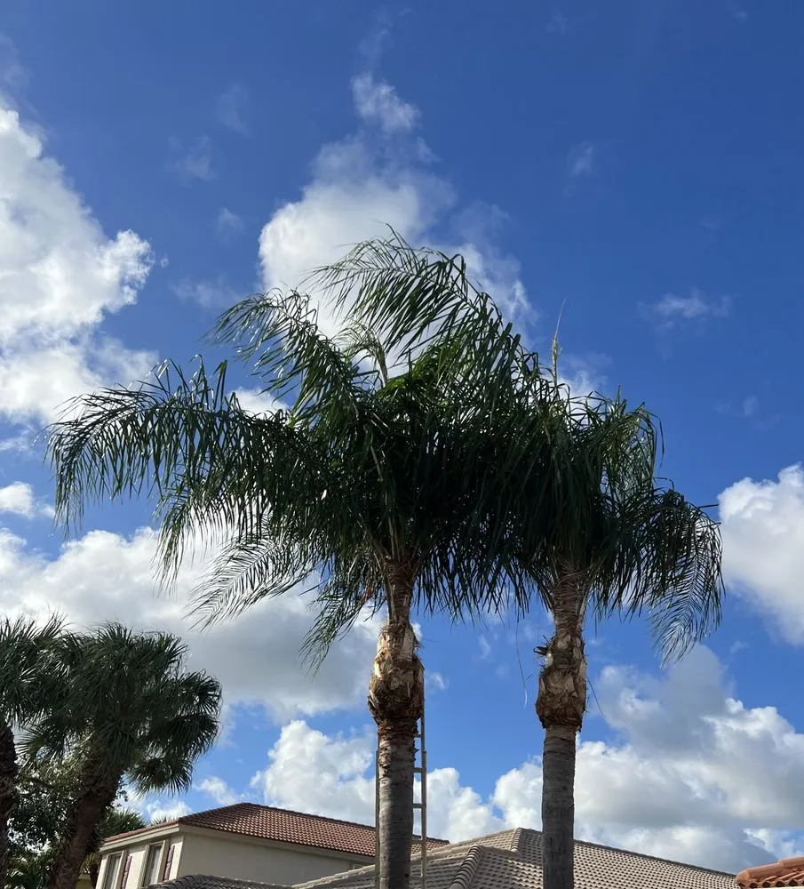 Trusted outdoor landscaping in Lake Worth Beach, FL - AM Landscaping