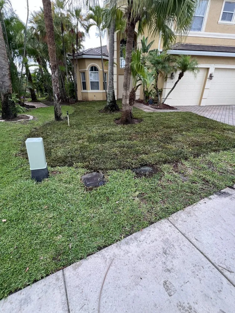 Custom landscape installation in Lake Worth Beach, FL by AM Landscaping