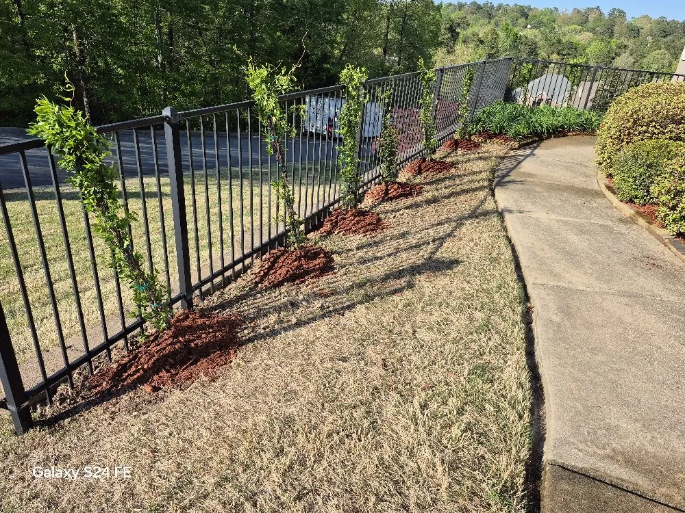 Expert yard maintenance in Little Rock, AR by A&M Landscaping