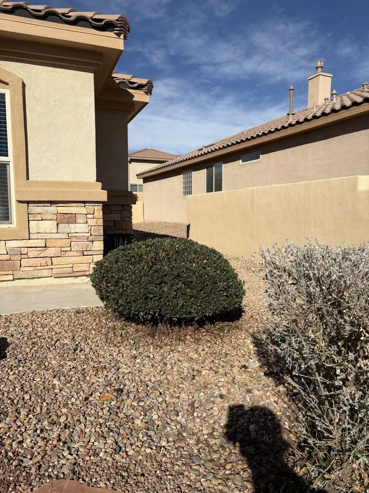 Top-rated garden landscaping for beautiful yards in Rio Rancho, NM by A&M Landscaping