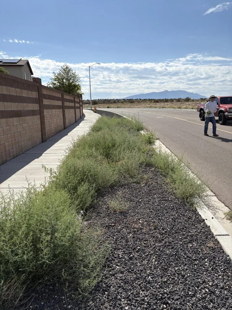 Affordable residential landscaping in Rio Rancho, NM - A&M Landscaping