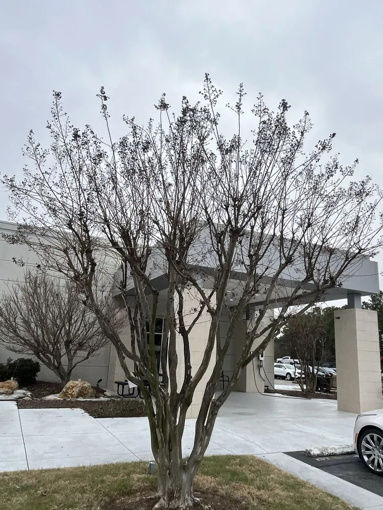 Trusted residential landscaping experts serving Fayetteville, NC - A&M Landscaping Services