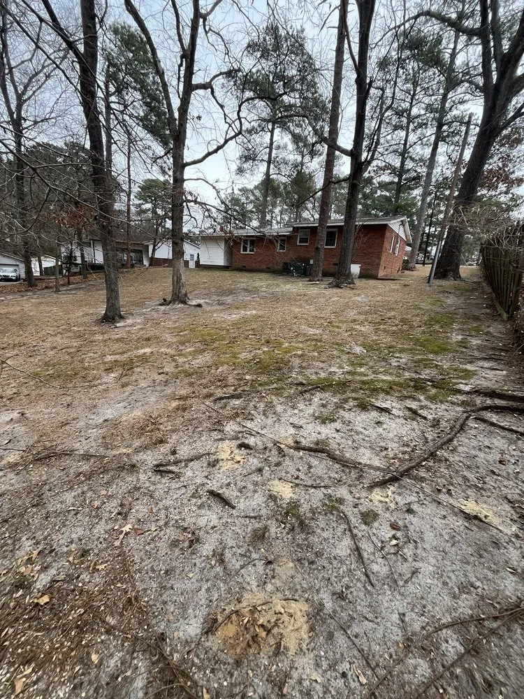 Reliable landscape design in Fayetteville, NC - A&M Landscaping Services