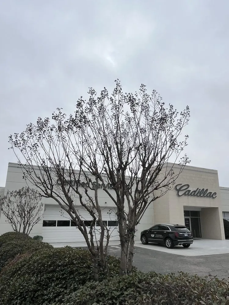 Professional landscape design for year-round maintenance across Fayetteville, NC - A&M Landscaping Services