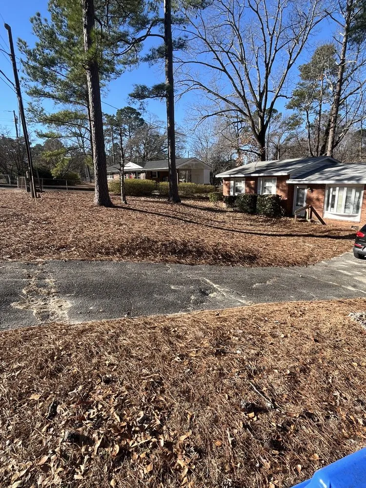 Top-rated landscape design experts serving Fayetteville, NC - A&M Landscaping Services