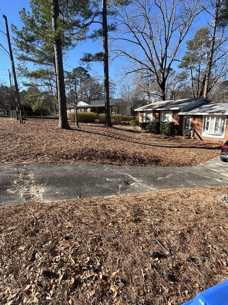 Top-rated outdoor landscaping with custom design across Fayetteville, NC - A&M Landscaping Services