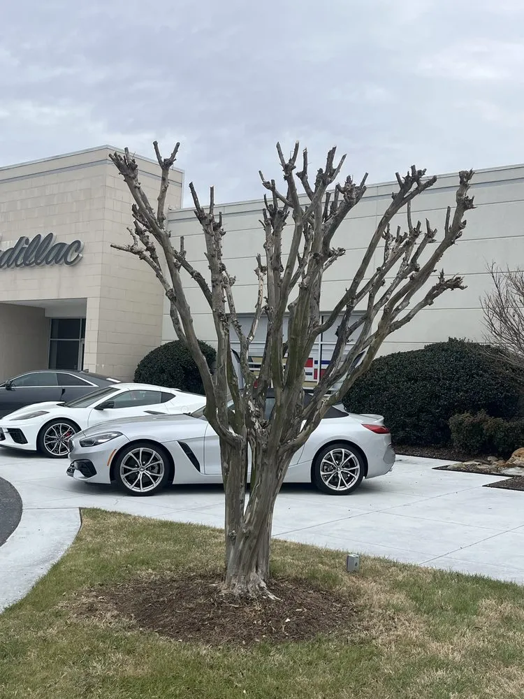 Trusted landscaping services in Fayetteville, NC - A&M Landscaping Services