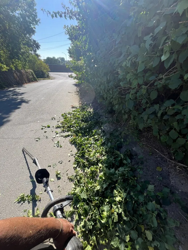 Local outdoor landscaping in Victorville, CA by A&M Landscaping