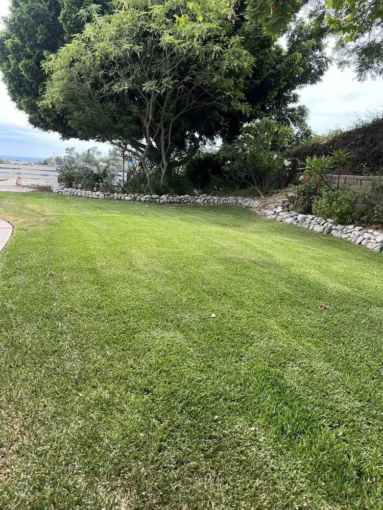 Expert residential landscaping experts serving Victorville, CA - A&M Landscaping