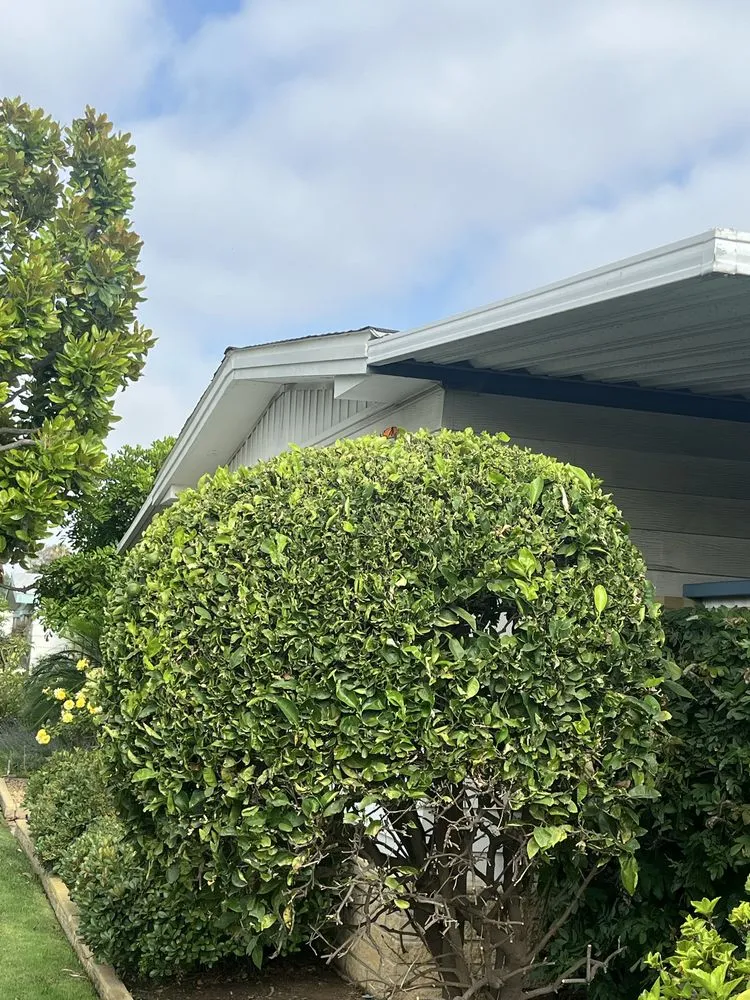 Reliable yard maintenance in Victorville, CA - A&M Landscaping