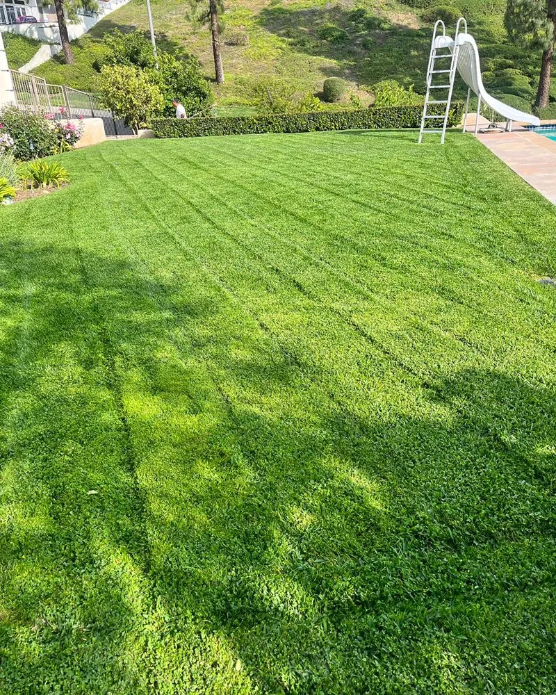 Affordable garden landscaping in Whittier, CA - A.M Landscaping