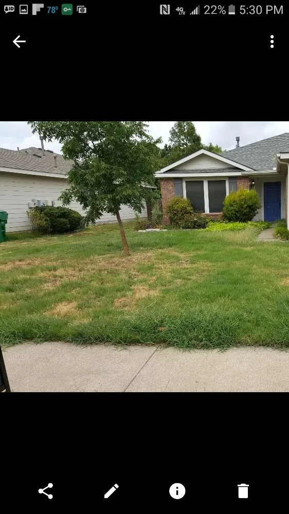 Custom yard maintenance experts serving Denton, TX - AM Lawn Care