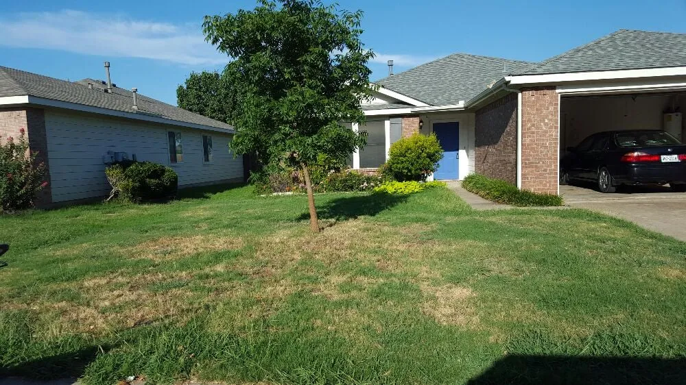 Reliable landscaping services near you across Denton, TX - AM Lawn Care
