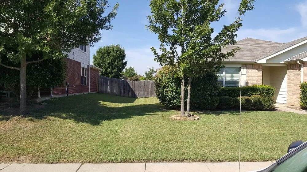 Affordable yard maintenance in Denton, TX by AM Lawn Care