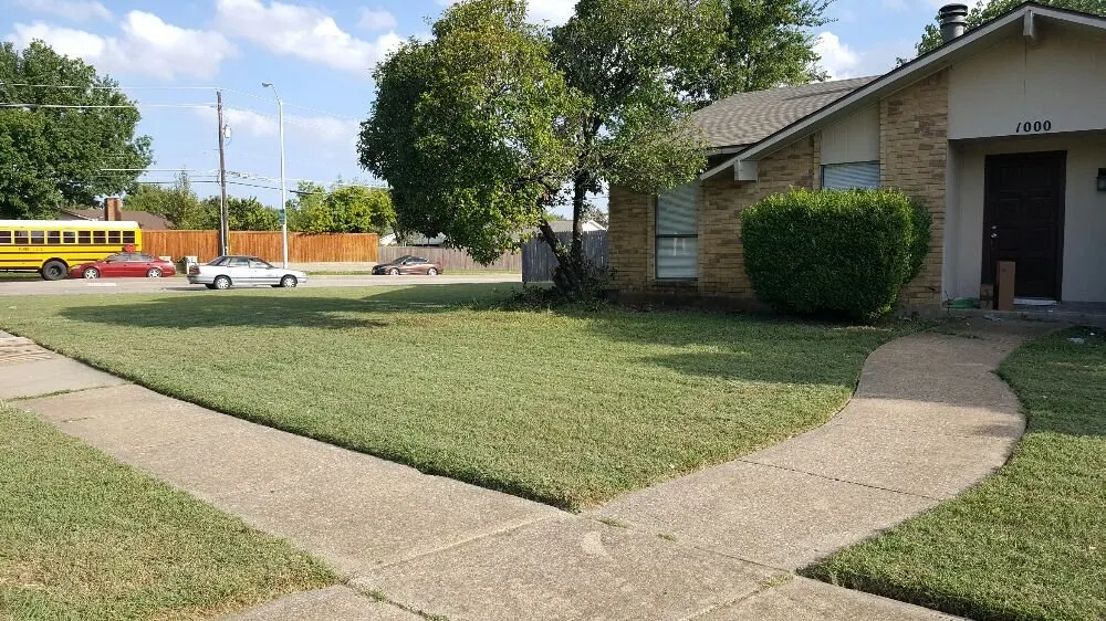 Top-rated yard maintenance for beautiful yards in Denton, TX by AM Lawn Care