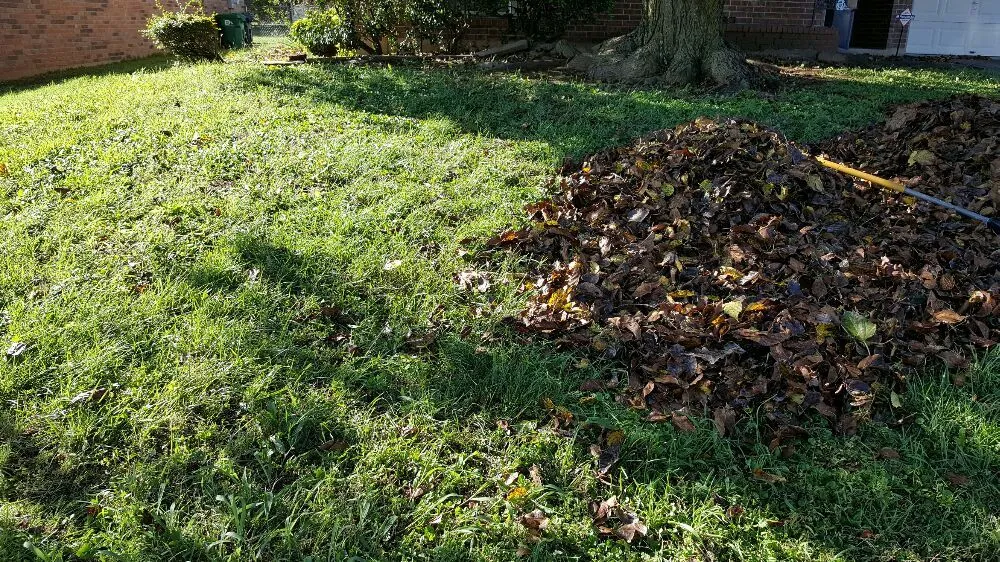 Expert residential landscaping in Denton, TX by AM Lawn Care