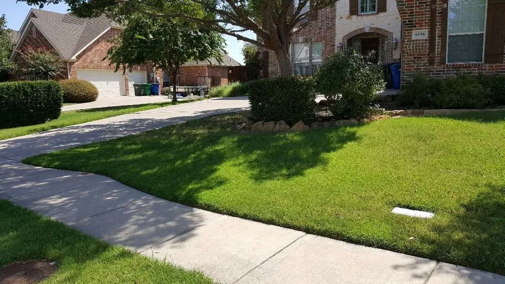 Local residential landscaping in Denton, TX - AM Lawn Care