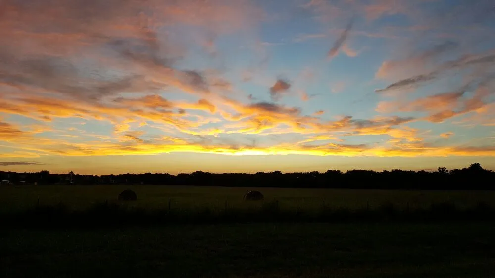 Reliable yard cleanup service experts serving Denton, TX - AM Lawn Care