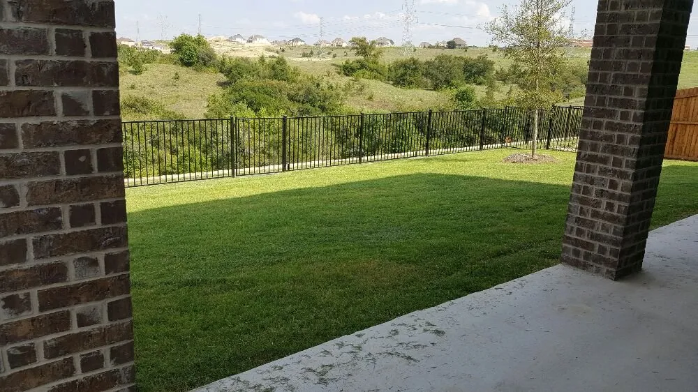 Affordable lawn care service experts serving Denton, TX - AM Lawn Care