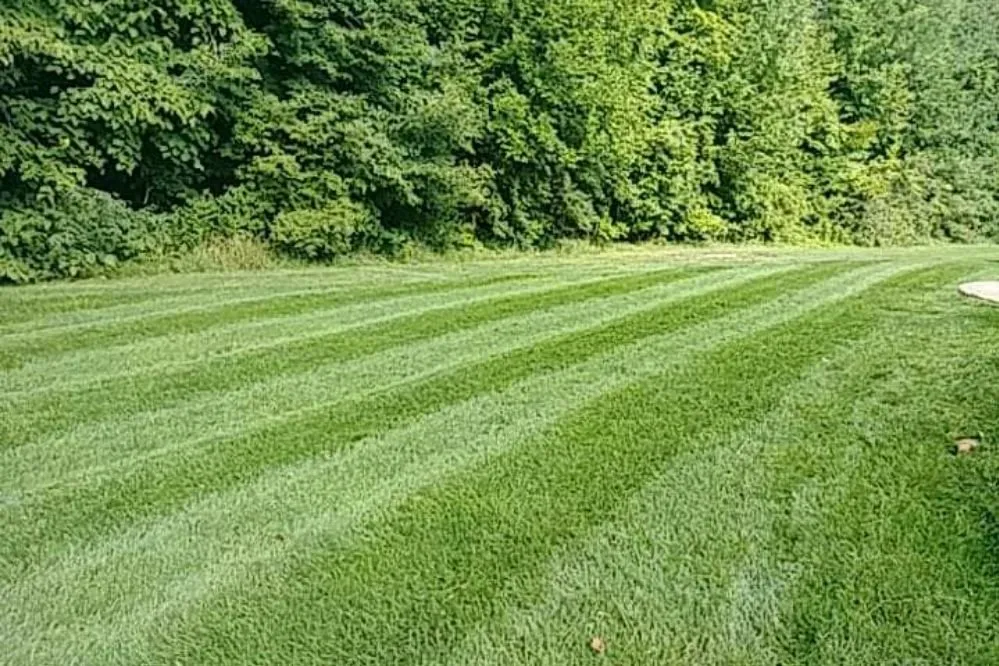 Trusted outdoor landscaping in Kennard, IN - A&M Lawn Care
