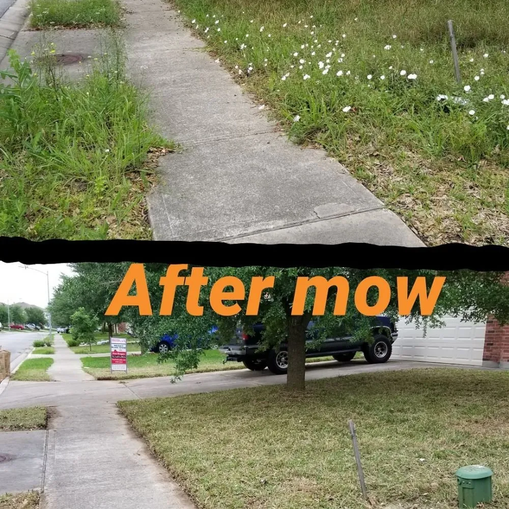 Local landscaping services in Austin, TX - A&M Lawn Services