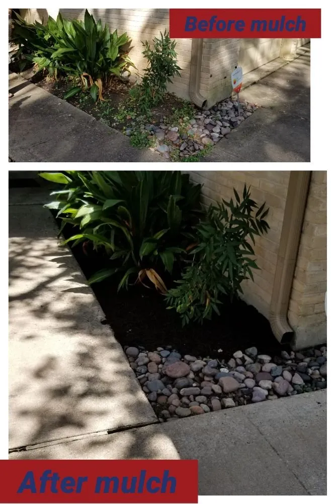 Local lawn care service in Austin, TX - A&M Lawn Services