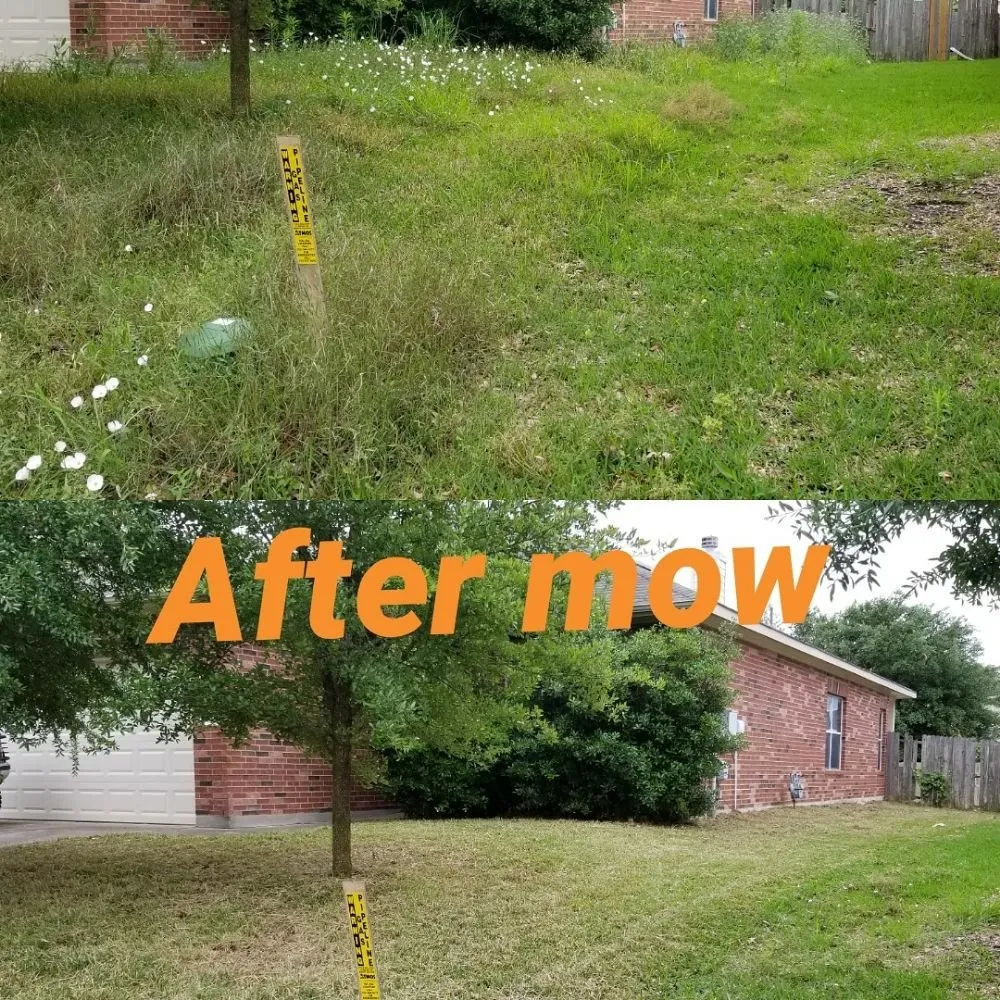 Top-rated lawn mowing service for year-round maintenance across Austin, TX - A&M Lawn Services