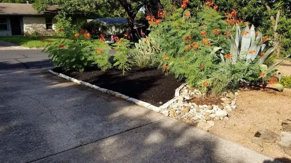 Affordable lawn care service for residential properties across Austin, TX - A&M Lawn Services