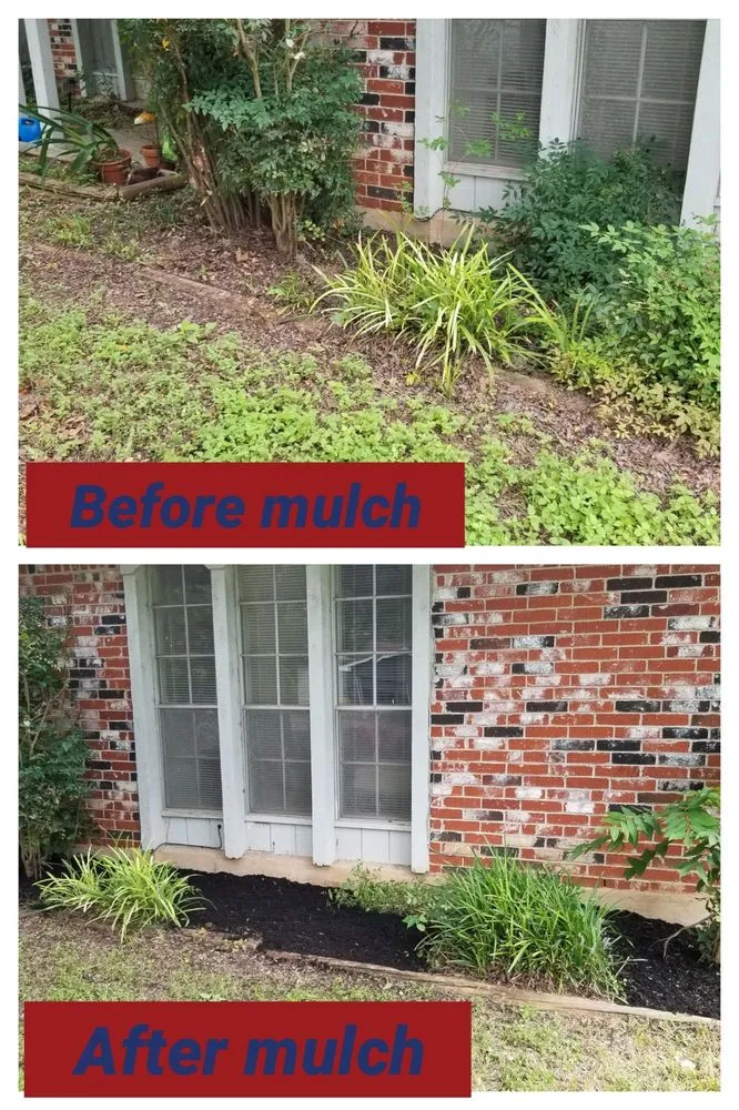 Local residential landscaping experts serving Austin, TX - A&M Lawn Services