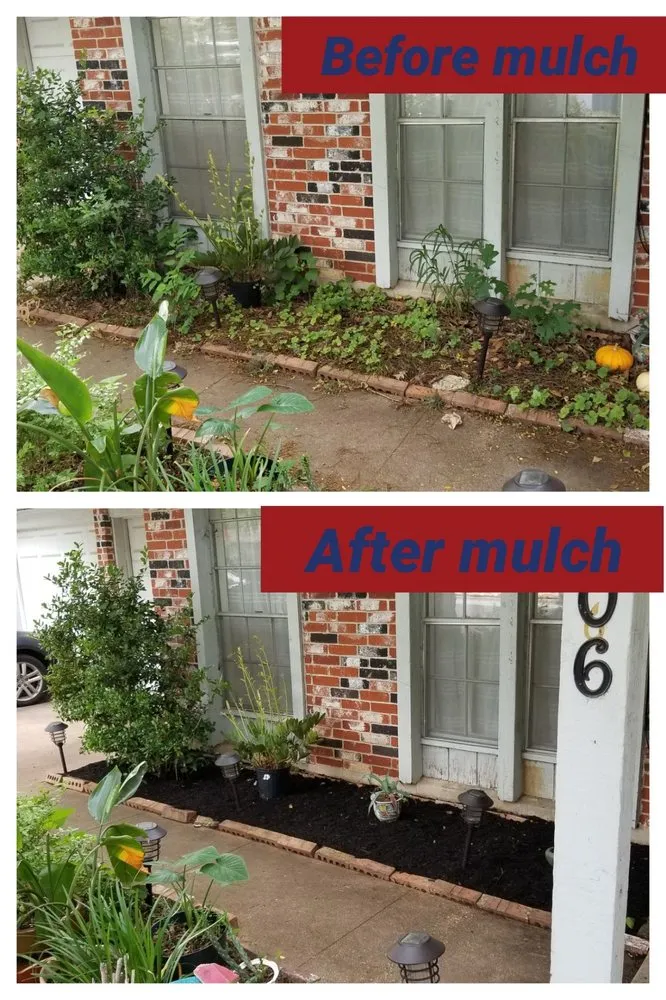 Expert yard cleanup service with custom design in Austin, TX by A&M Lawn Services