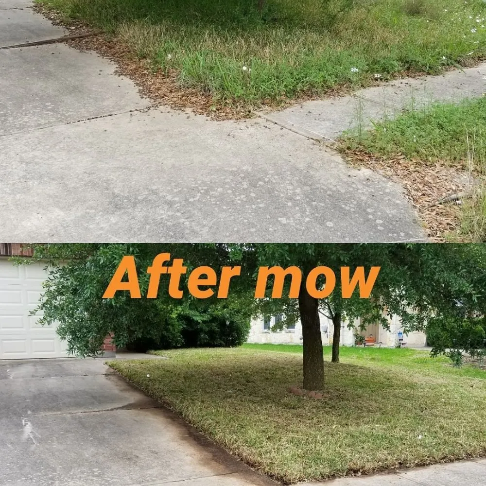 Top-rated landscaping services for year-round maintenance across Austin, TX - A&M Lawn Services