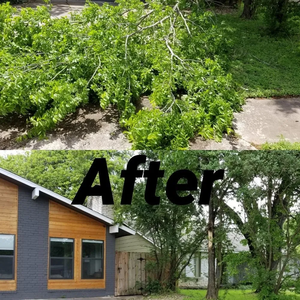 Local garden landscaping experts serving Austin, TX - A&M Lawn Services