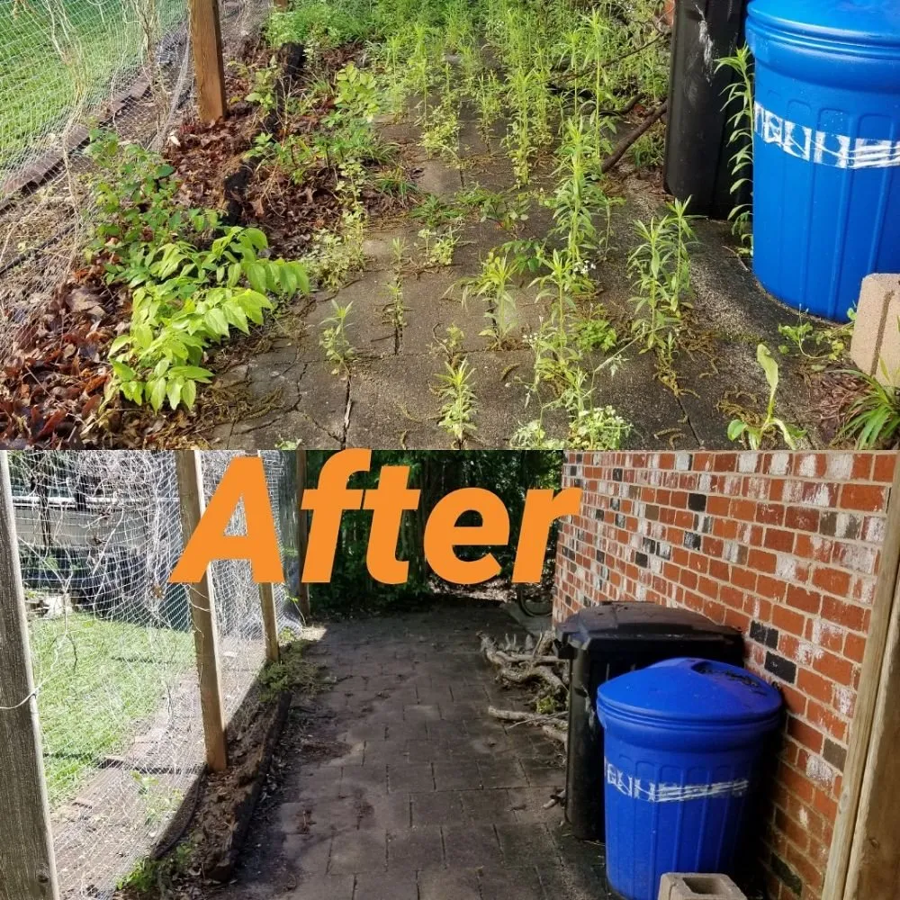 Reliable yard cleanup service in Austin, TX by A&M Lawn Services